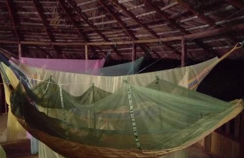 Uramba National Park Other | La Salamandra