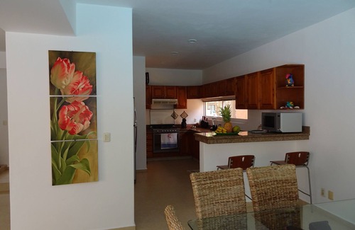 Puerto Aventuras House | La Salamandra