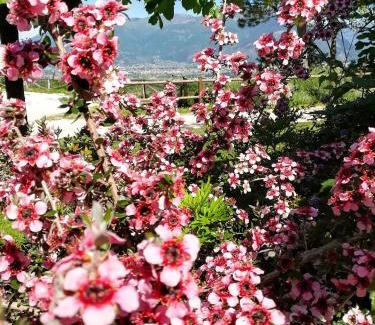 Arpino House | La Staccionata