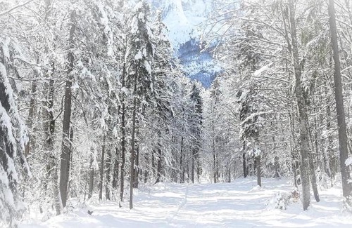 Tarvisio Apartment | la STELLA House