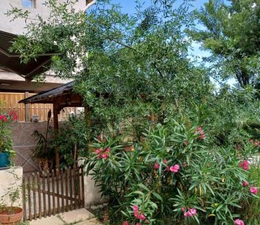 Quissac House | La Studette d'Eve 10m2, terrasse 18m2 , parking, piscine