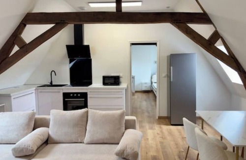 Douai Apartment | La Suite Private Spa Cœur de Douai