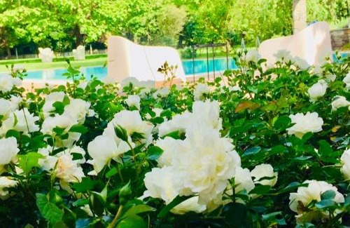 Pieve al Bagnoro Apartment | La Taverna Fra Le Colline