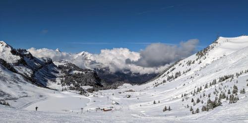 Verchaix Ski Chalet | La Terrasse de Verchaix