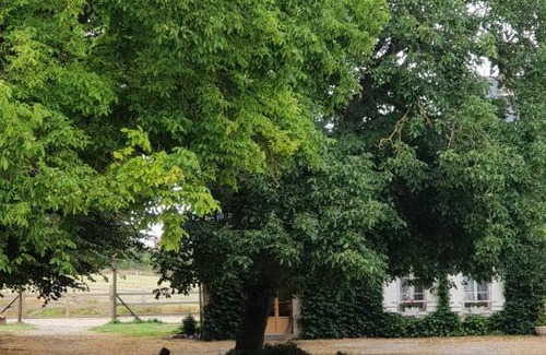 Saint-Riquier Bed & Breakfast | La Tilia