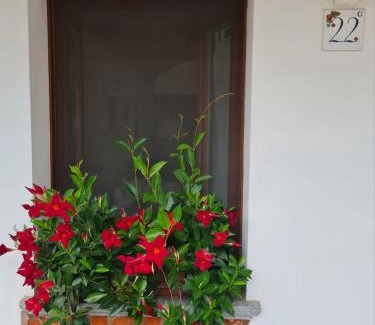 Caravino Apartment | La torretta 22
