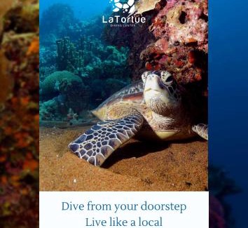Dauin Hostel | La Tortue Diving Resort Dauin