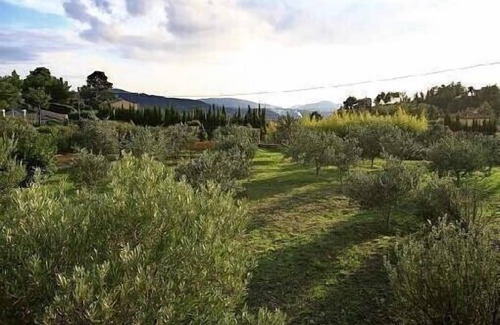 La Cadiere-d'Azur Cottage | La Treille Mas Bouteillans, charm, comfort, calm amid the olive grove