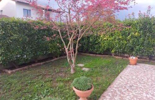 Fontanafredda House | La tua casa meravigliosa con giardino