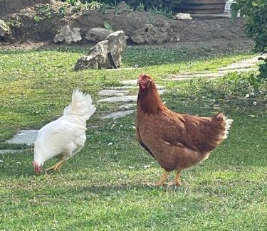 Villanova d'Asti Bed & Breakfast | La valle incantata