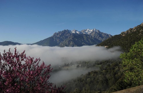 Moltifao Bed & Breakfast | La Ventulella