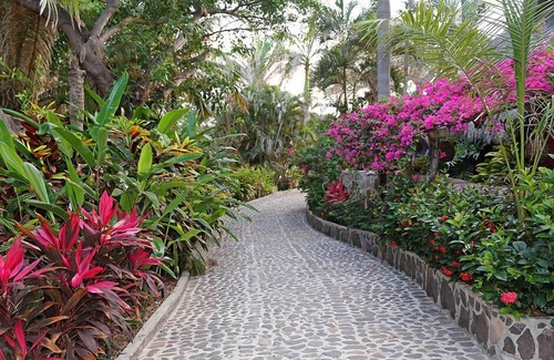 Platanitos Villa | La Villa Bella