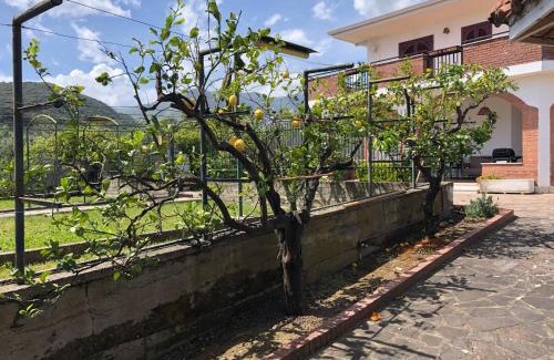 Madonna della Croce Villa | La Villa dei Limoni - Villa Panoramic with Pool
