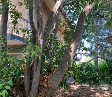 Lavinaio-Monterosso House | La villa di Flora singola MONTEROSSO ETNEO