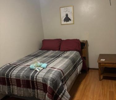 Petersburg House | Lace Place