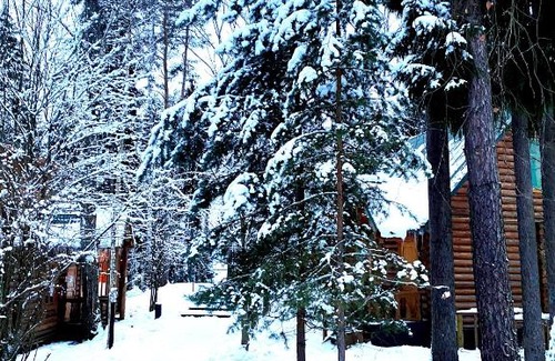 Lopotovo Hotel | Lada Holiday Cottages