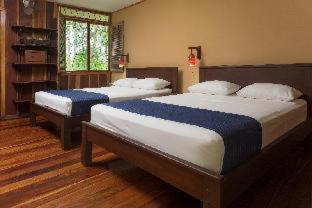 Tortuguero Cabin | Laguna Lodge Full Board
