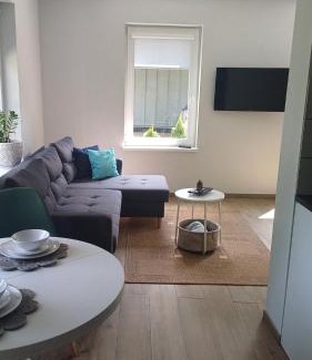 Panevezys county Apartment | Lake apartments
