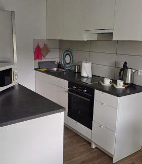 Panevezys county Apartment | Lake apartments