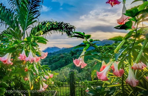 El Millon Ski Chalet | Lake Arenal-Stunning views of the lake, volcano and jungle.