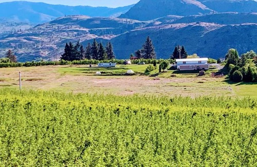 Manson Condo | Lake Chelan/Manson Vineyard Cottage Views