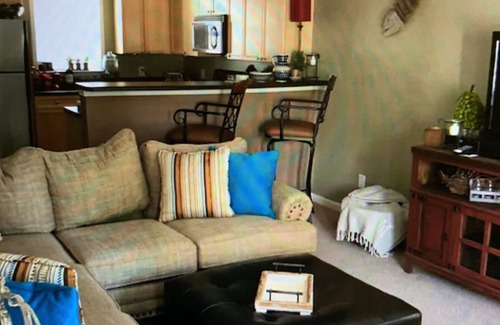 Dadeville Condo | Lake Martin Condo with Dock….30 minutes from Auburn’s Campus!