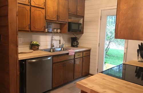 Five Points House | Lakefront Cabin on West Point Lake, private dock, fire pit! Near Lagrange