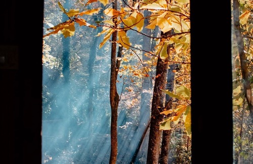 Houston Cabin | Lakefront Cave with Waterfalls,Firepits, and Outside Showers