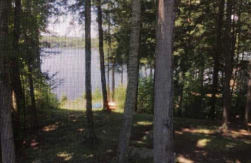 Enfield House | Lakeside Cottage Retreat