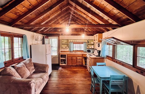 Marcell Cabin | Lakeview in the Treetops