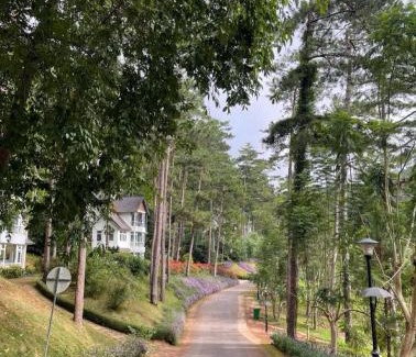 Da Lat Villa | Lan anh Village - Luxury villa Tuyen lam lake view