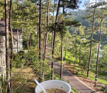 Da Lat Villa | Lan anh Village - Luxury villa Tuyen lam lake view