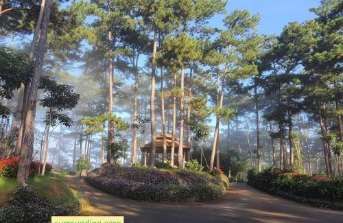 Da Lat Villa | Lan anh Village - Luxury villa Tuyen lam lake view