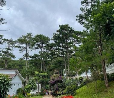 Da Lat Villa | Lan anh Village - Luxury villa Tuyen lam lake view