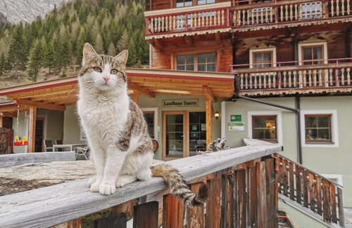 Kals am Grossglockner House | Landhaus Taurer