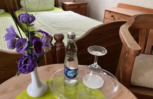 Patow-Steegen Hotel | Landhotel & Restaurant Zum Krug im grünen Kranze