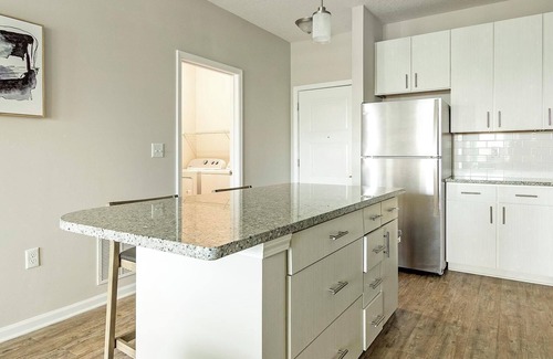 Land O' Lakes Apartment | Landing at Soltair Cypress Creek - 1 Bedroom in.