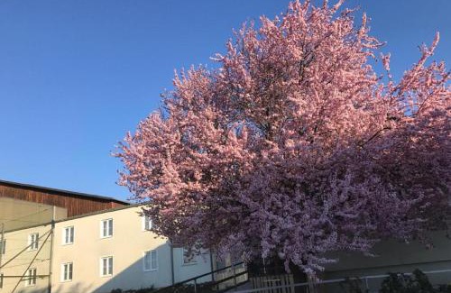 Lengenfeld House | Landpension Gschwantner