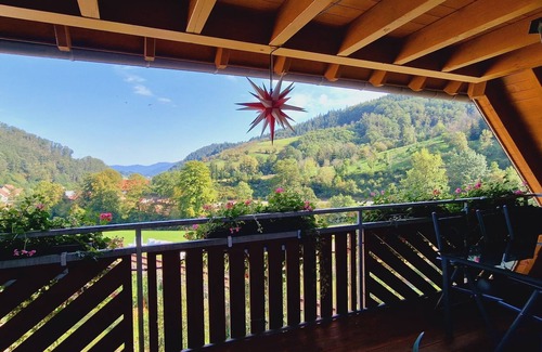 Oppenau Apartment | Langenhof - Holiday apartment 110sqm with air conditioning, vacation on the farm