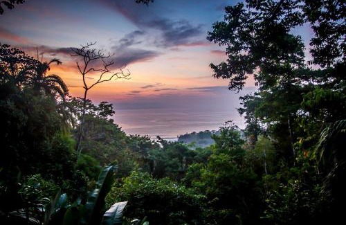 Cabo Matapalo Hotel | Lapa Rios Lodge