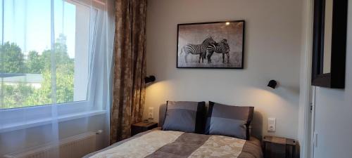 Aluksne House | Lapegle