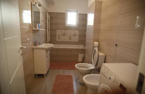 Focsani Apartment | Lar Apartment
