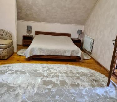 Solochyn House | Lara
