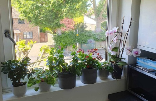 Horsham Apartment | Large 1 Bedroom Flat With Fitted Kitchen and a Leather Sofa Chair