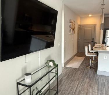 Lindbergh Apartment | Large Buckhead modern suite