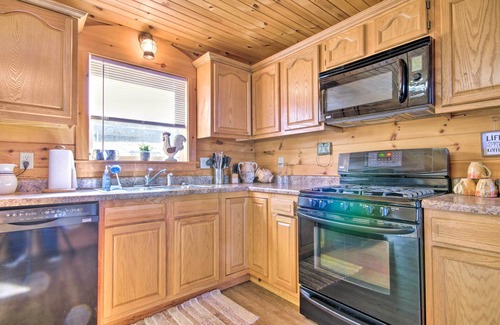 Elizabeth Cabin | Large Cabin w/Deck Overlooking Norfork Lake!