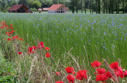 Nempont-Saint-Firmin Cottage | Large capacity cottage
