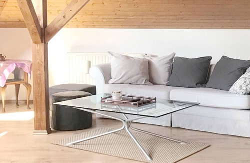 Reichshoffen Apartment | Large & cozy 120 m2 spacey apartment, 4 rooms with kitchen and big living room