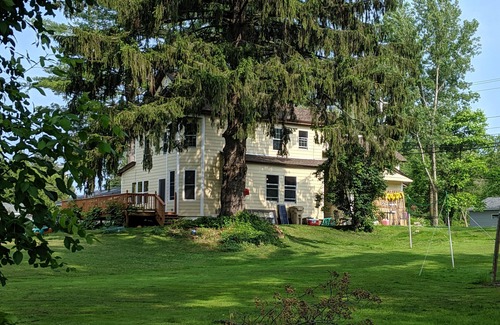 Town of Hastings House | Large docks, place for memories as one of a kind. Relax, play, swim, fish