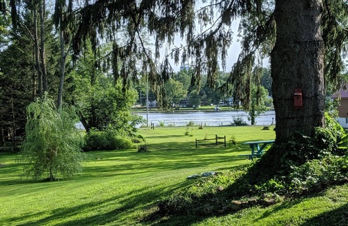 Town of Hastings House | Large docks, place for memories as one of a kind. Relax, play, swim, fish